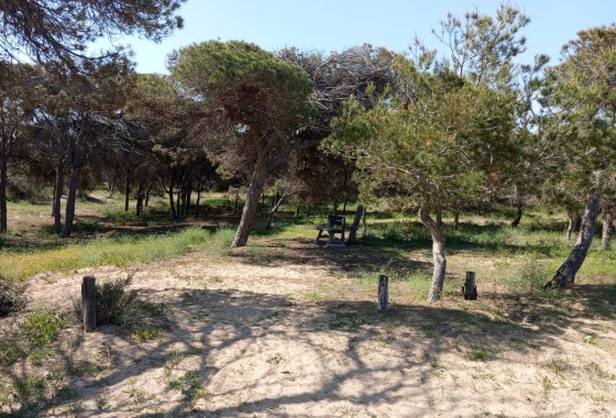 Resale - Bungalow - Guardamar del Segura - Urbanizaciones