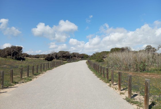 Resale - Bungalow - Guardamar del Segura - Urbanizaciones