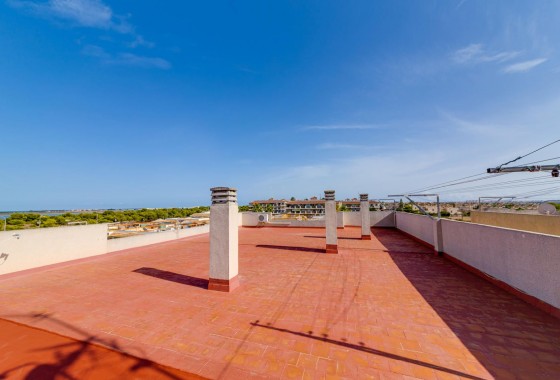 Segunda Mano - Apartamento - Torrevieja - San Luis