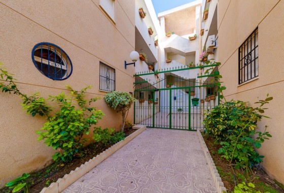 Segunda Mano - Apartamento - Torrevieja - San Luis