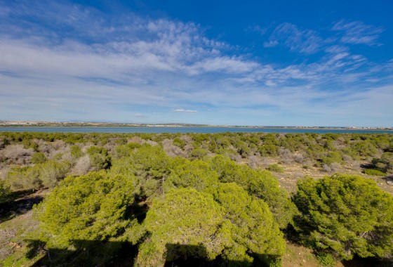 Segunda Mano - Apartamento - Torrevieja - San Luis