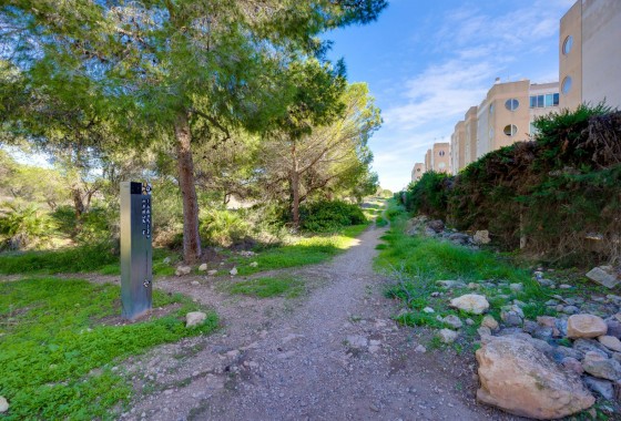 Segunda Mano - Apartamento - Torrevieja - San Luis