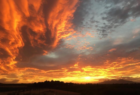 Revente - Appartement - Algorfa