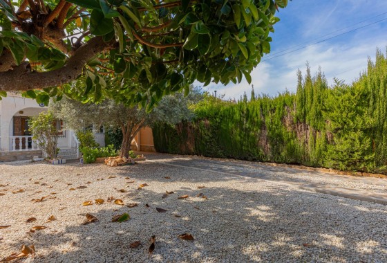 Segunda Mano - Chalet - Torrevieja - El chaparral