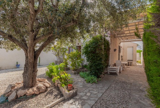 Segunda Mano - Chalet - Torrevieja - El chaparral