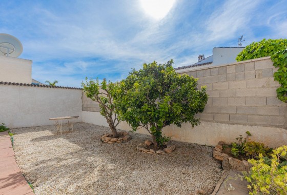 Segunda Mano - Chalet - Torrevieja - El chaparral