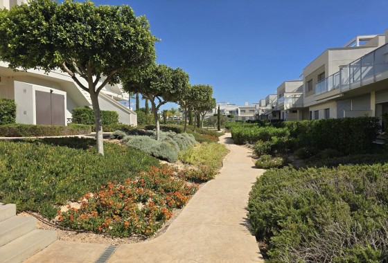 Segunda Mano - Apartamento - Vistabella Golf - Vistabella Golf Entre Naranjos