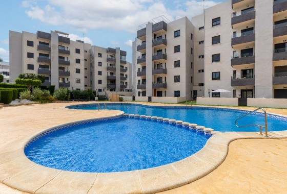 Resale - Apartment - San Miguel de Salinas