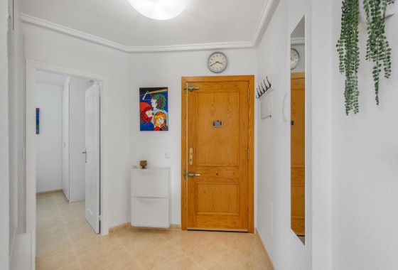 Segunda Mano - Apartamento - Torrevieja - Estacion de autobuses