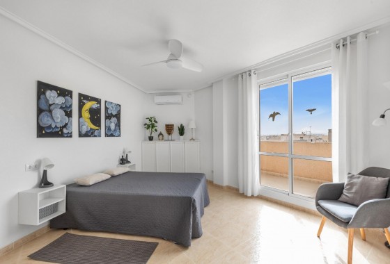 Segunda Mano - Apartamento - Torrevieja - Estacion de autobuses