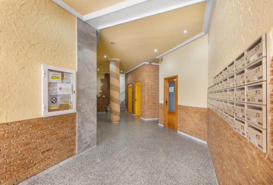 Segunda Mano - Apartamento - Torrevieja - Estacion de autobuses