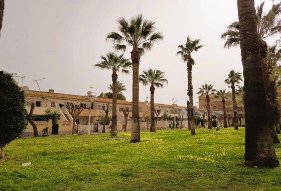 Segunda Mano - Apartamento - Orihuela Costa - La Regia