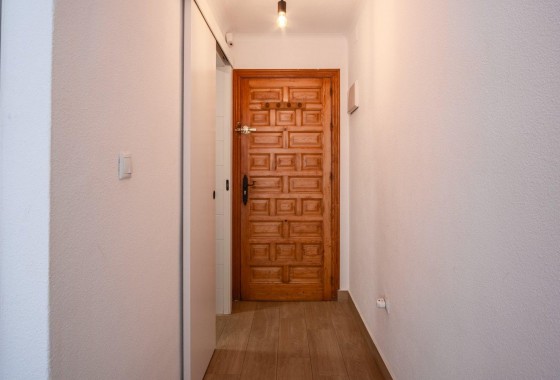 Segunda Mano - Apartamento - Torrevieja - Estacion de autobuses