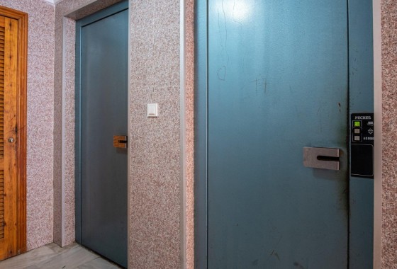 Segunda Mano - Apartamento - Torrevieja - Estacion de autobuses