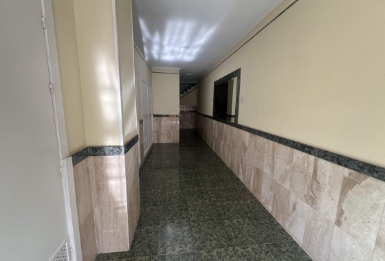 Revente - Appartement - Torrevieja - torrevieja