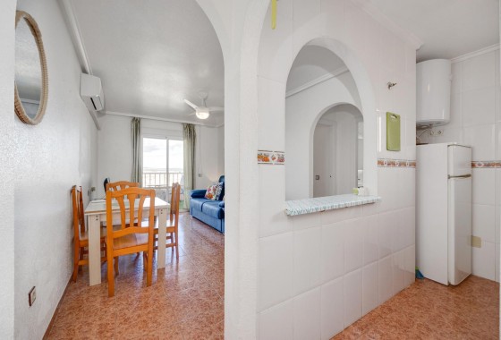 Segunda Mano - Apartamento - Torrevieja - Parque las naciones