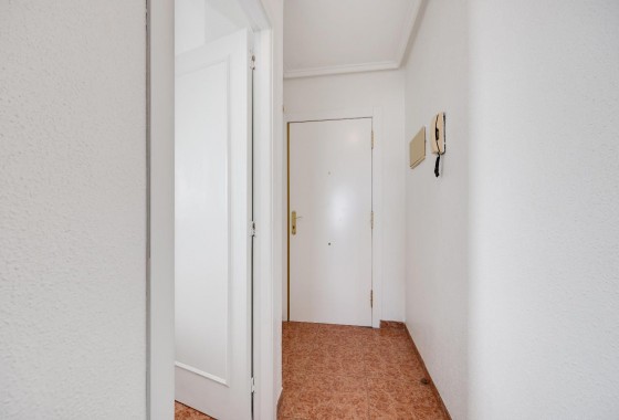 Segunda Mano - Apartamento - Torrevieja - Parque las naciones