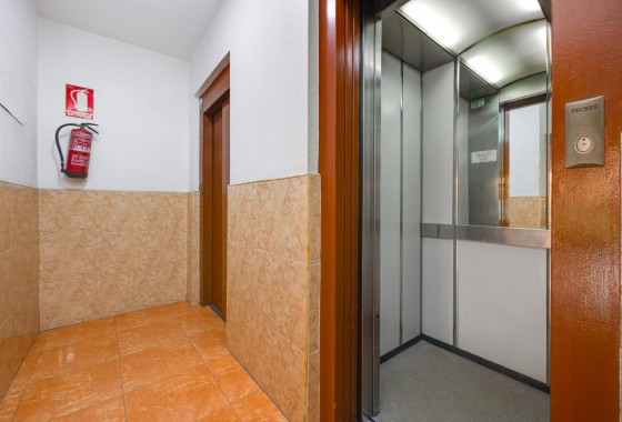 Segunda Mano - Apartamento - Torrevieja - Parque las naciones