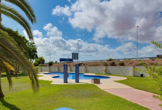 Segunda Mano - Apartamento - Torrevieja - Parque las naciones