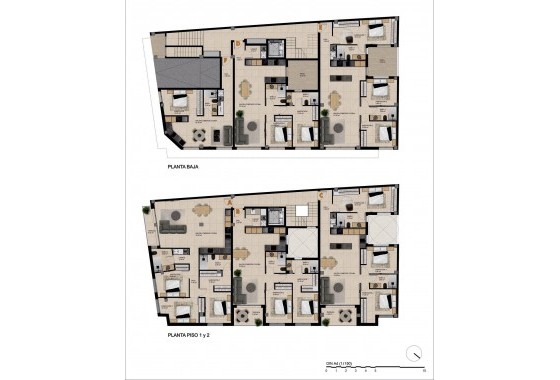 Obra nueva - Apartamento - Catral - pueblo
