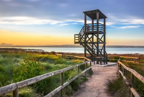 Segunda Mano - Apartamento - Torrevieja - La Mata