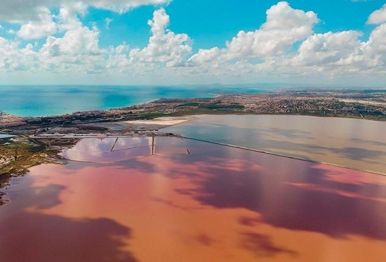 Segunda Mano - Apartamento - Torrevieja - La Mata