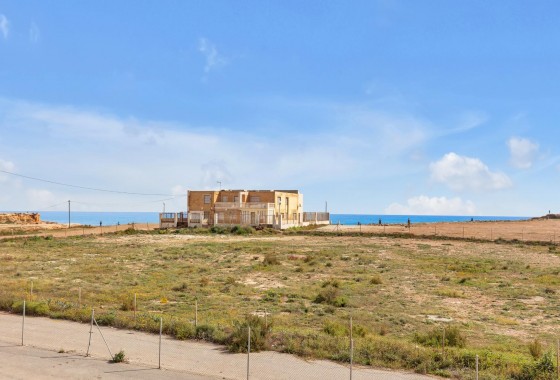 Segunda Mano - Apartamento - Torrevieja - Los Frutales