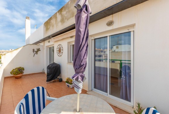 Segunda Mano - Apartamento - Torrevieja - Playa de los locos