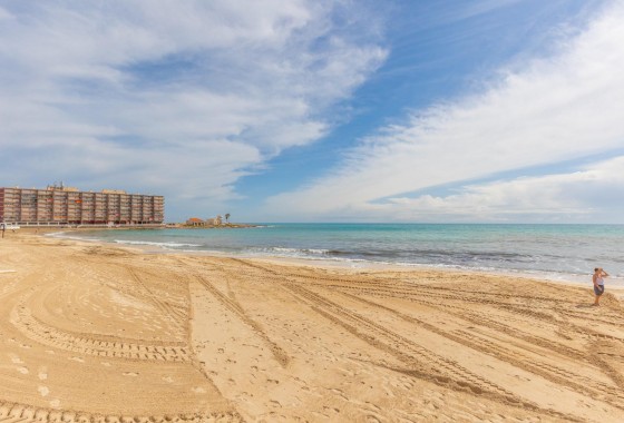 Segunda Mano - Apartamento - Torrevieja - Playa de los locos