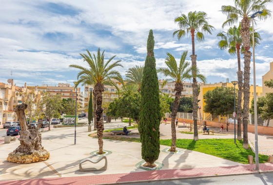 Segunda Mano - Apartamento - Torrevieja - Estacion de autobuses