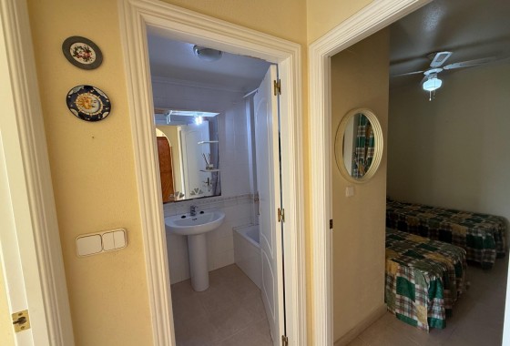 Segunda Mano - Bungalow - Torrevieja - Parque las naciones