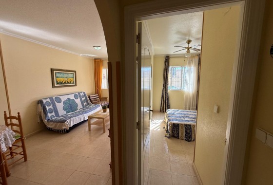 Segunda Mano - Bungalow - Torrevieja - Parque las naciones