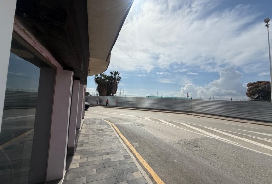 Alquiler a largo plazo - Local - Torrevieja - Paseo maritimo