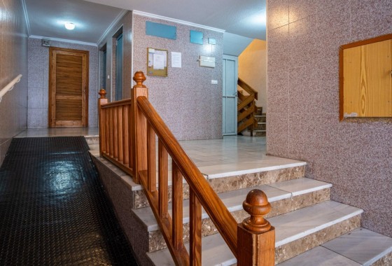 Resale - Apartment - Torrevieja - Estacion de autobuses