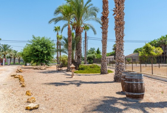 Revente - Finca - Catral - Comunidad valenciana