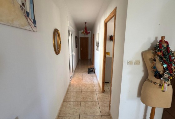 Revente - Finca - Albatera - ALBATERA