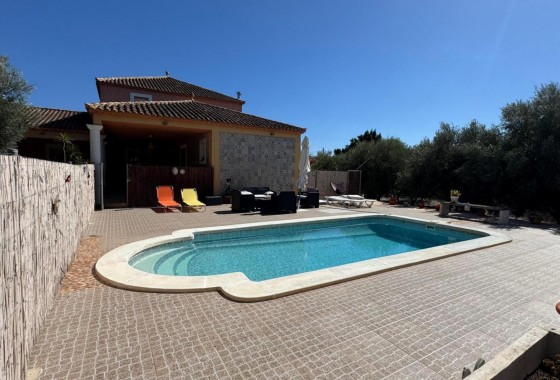 Revente - Finca - Albatera - ALBATERA