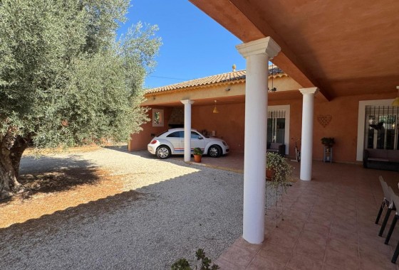 Revente - Finca - Albatera - ALBATERA