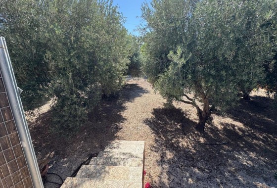 Revente - Finca - Albatera - ALBATERA