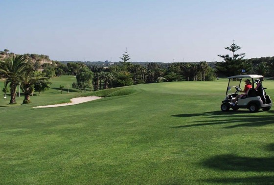 Revente - Villa - San Miguel de Salinas - BLUE LAGOON