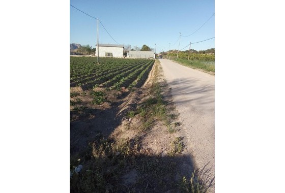 Revente - Finca - Orihuela Costa - Correntías Bajas