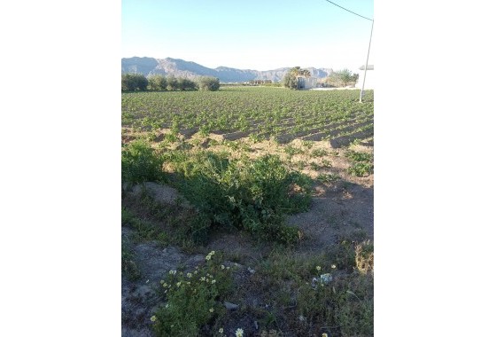 Revente - Finca - Orihuela Costa - Correntías Bajas