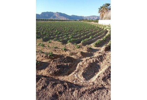 Revente - Finca - Orihuela Costa - Correntías Bajas