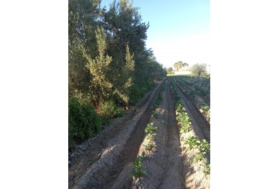 Revente - Finca - Orihuela Costa - Correntías Bajas