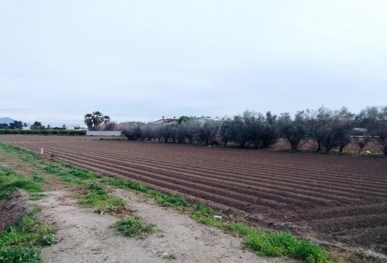 Revente - Finca - Orihuela Costa - Correntías Bajas