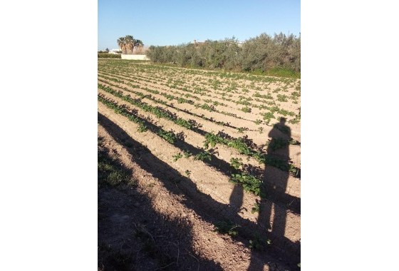 Revente - Finca - Orihuela Costa - Correntías Bajas