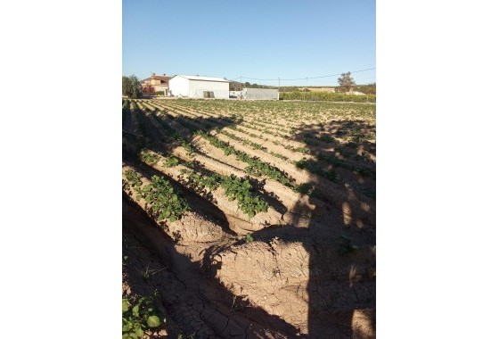 Revente - Finca - Orihuela Costa - Correntías Bajas