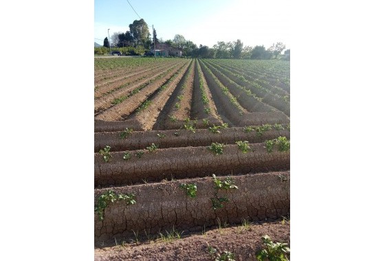 Revente - Finca - Orihuela Costa - Correntías Bajas