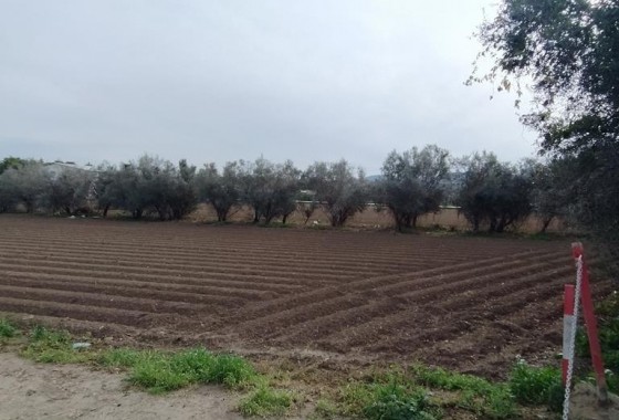 Revente - Finca - Orihuela Costa - Correntías Bajas