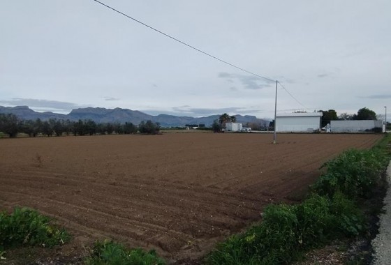 Revente - Finca - Orihuela Costa - Correntías Bajas